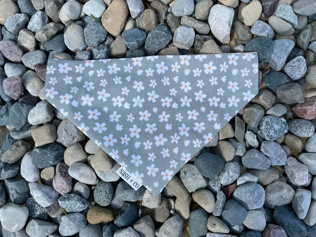 Sun Daisy Bandana