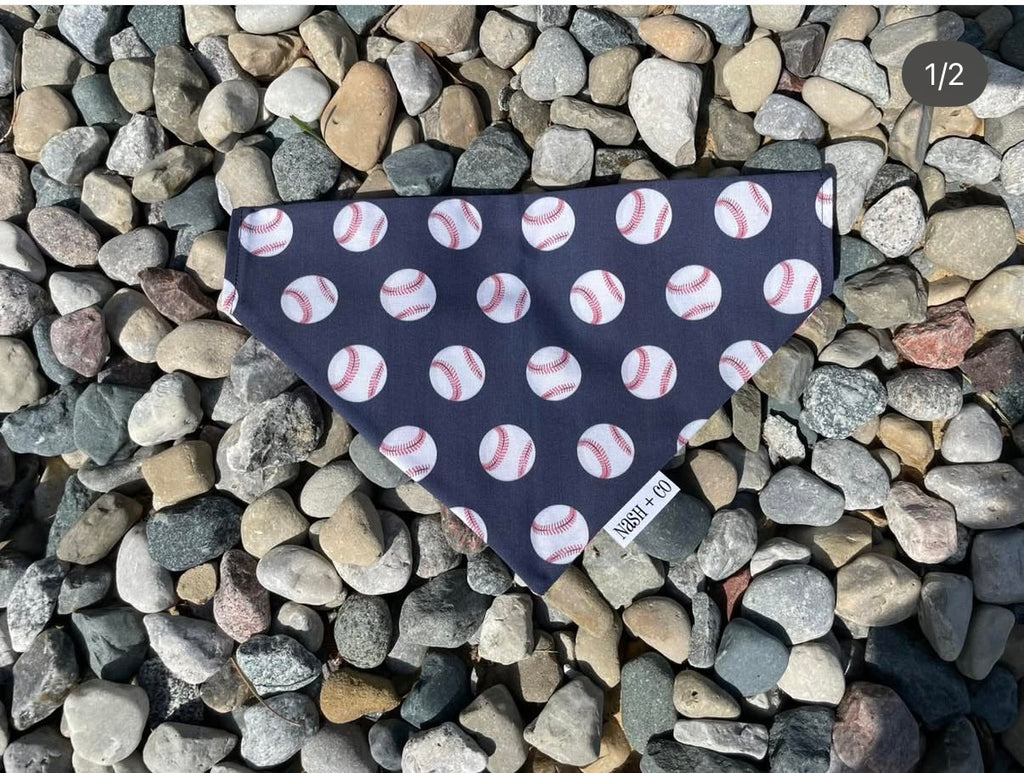 #1 Baseball Fan