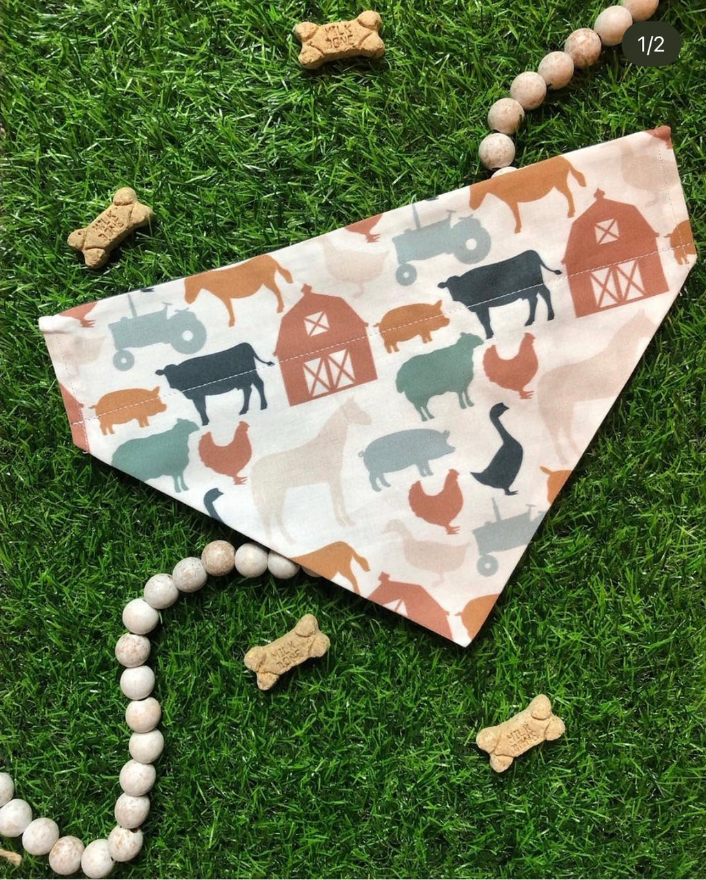 Barnyard Friends